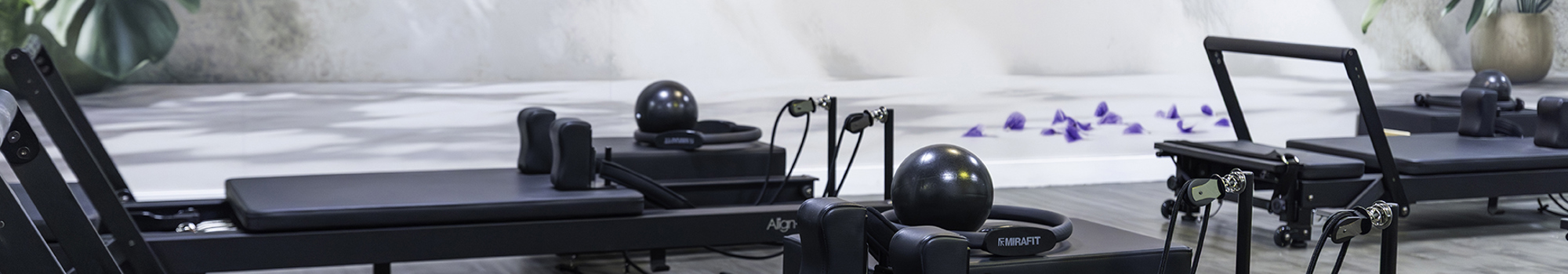 Bisham Abbey Christmas Experience