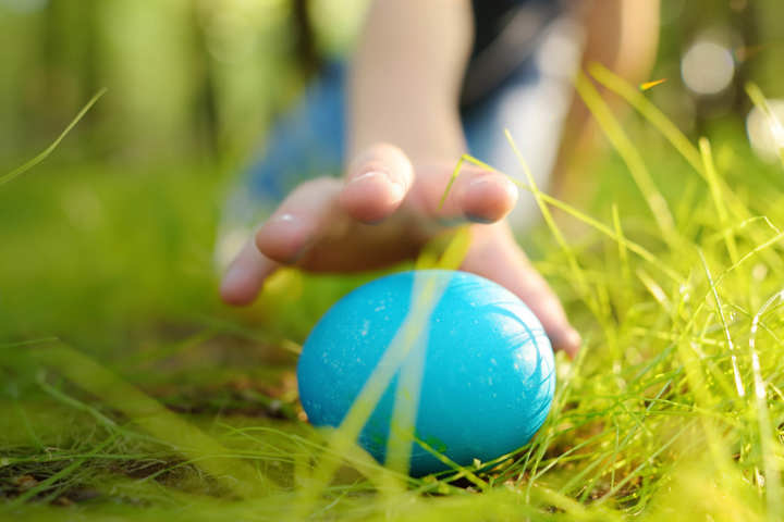 0412 Easter Egg Trail Lilleshall Web Header