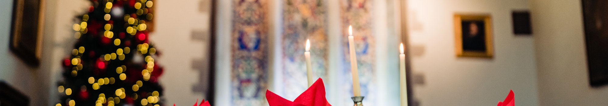 Bisham Abbey Andy Li Photography 023